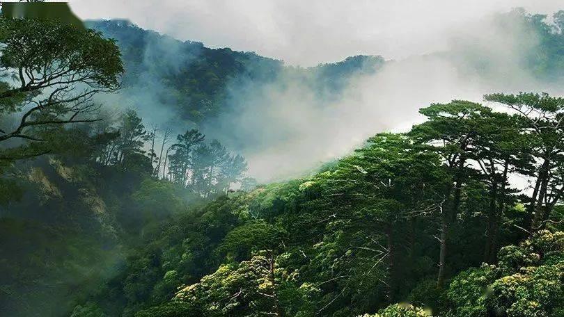 了解开空调出风特别小,偏方治百病平台的全面指南-尽享知识星球的乐趣